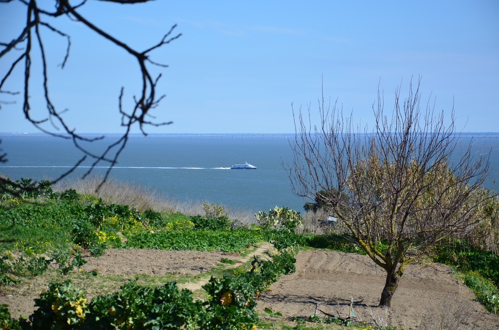 2018-02 Lisbon/Almada/DSC_0270.JPG